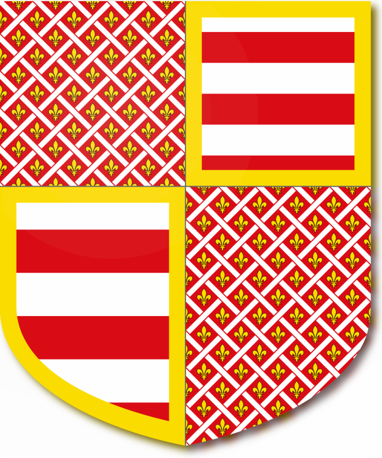 Shield image