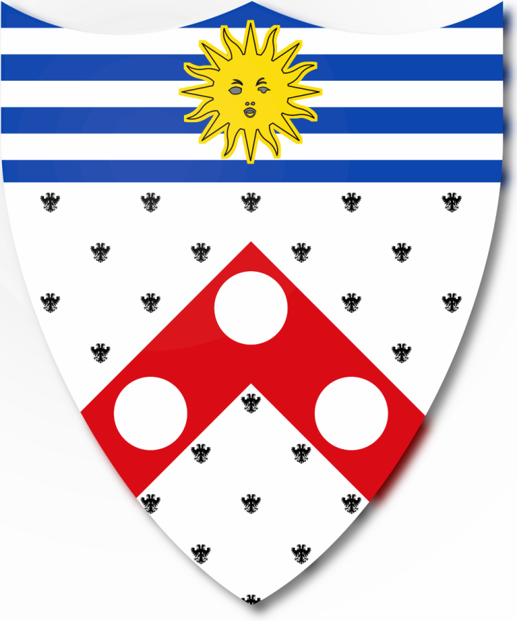 Shield image