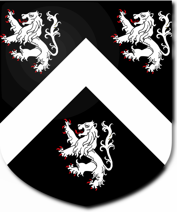 Shield image