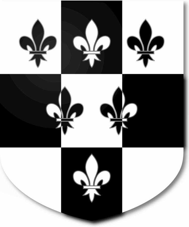 Shield image