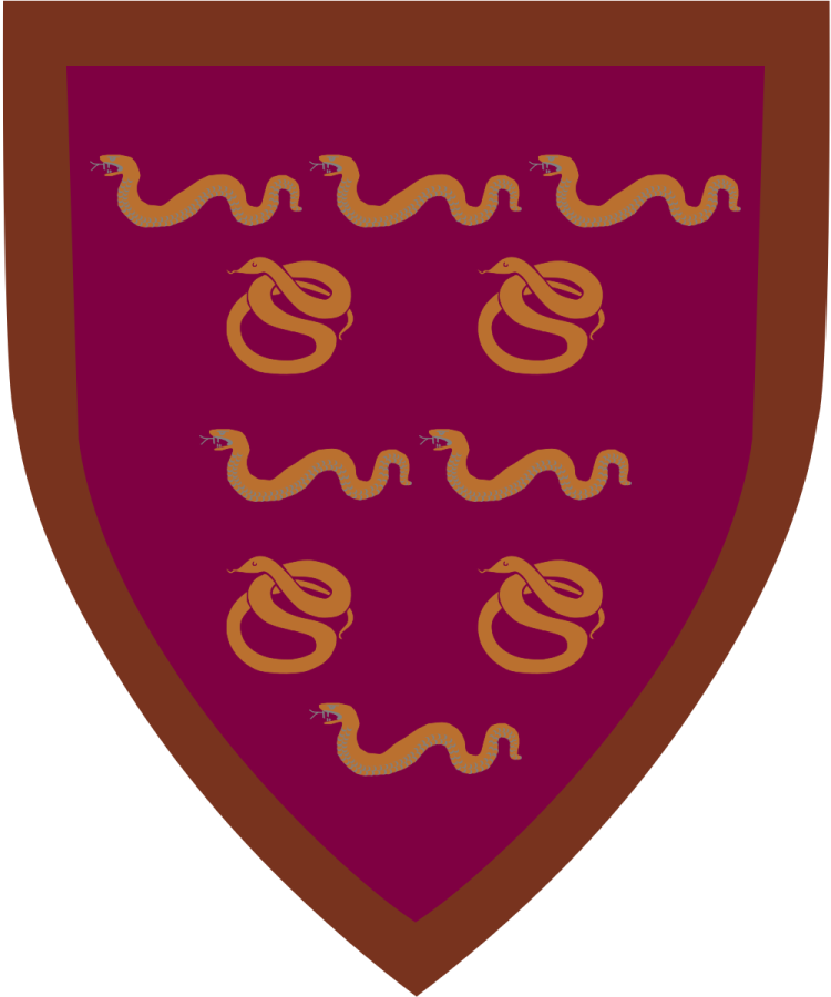 Shield image