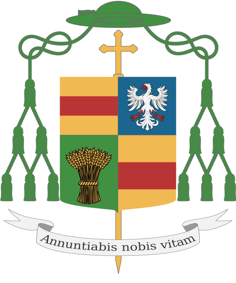 Shield image