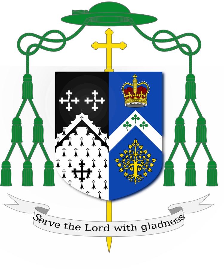 Shield image