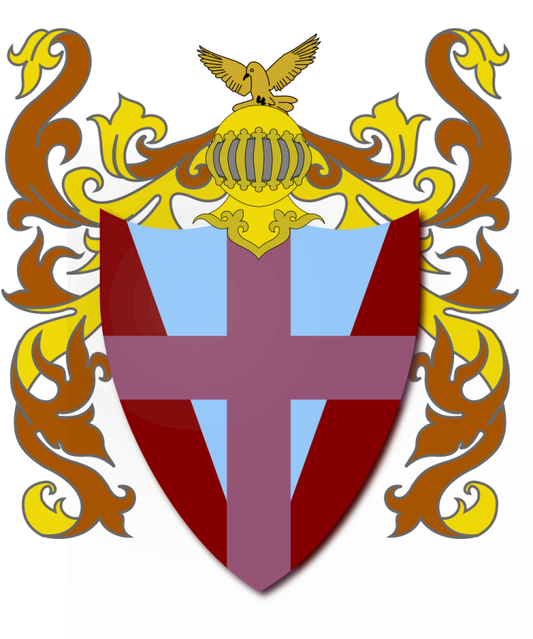 Shield image