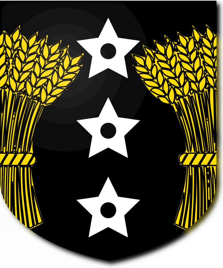 Shield image