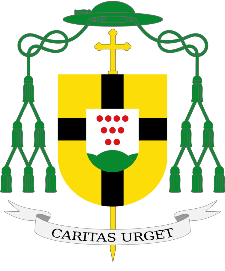 Shield image