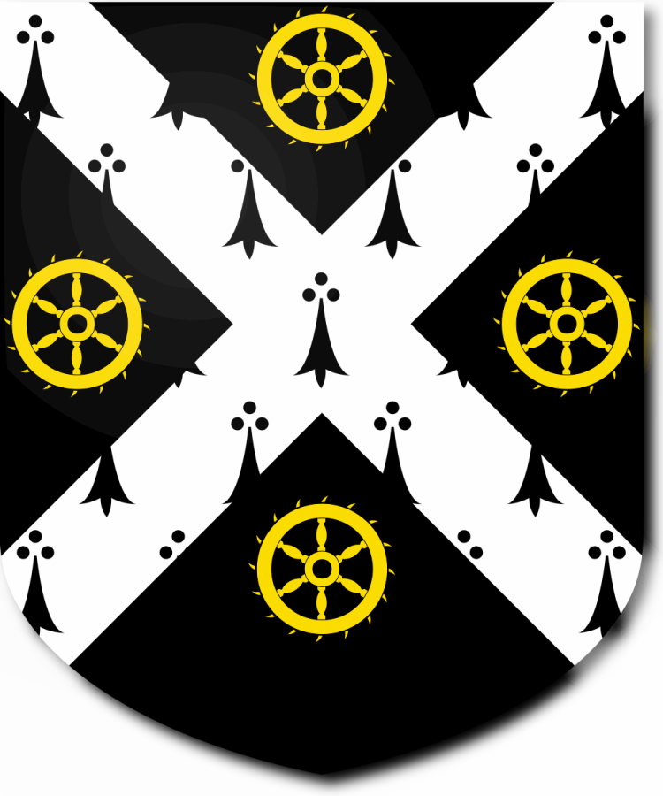 Shield image