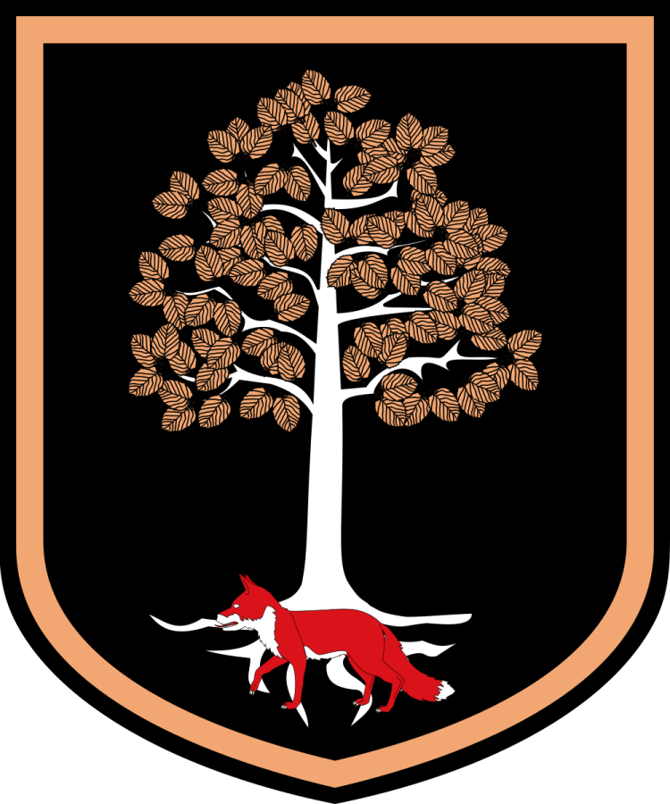 Shield image