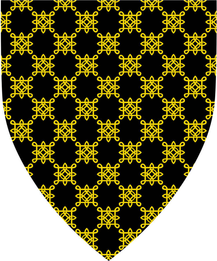 Shield image