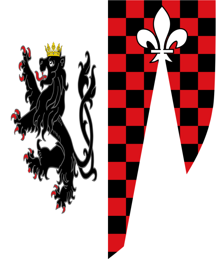 Shield image