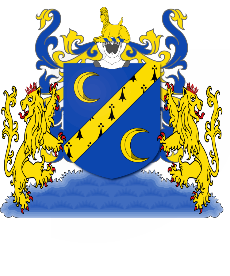 Shield image