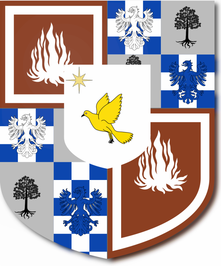 Shield image