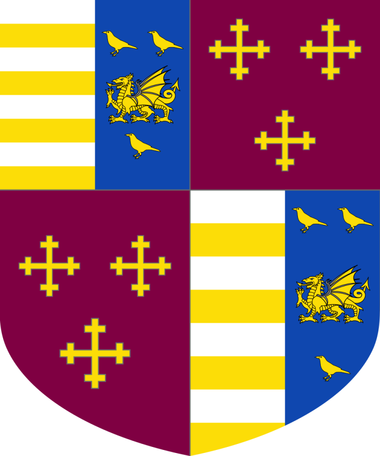 Shield image