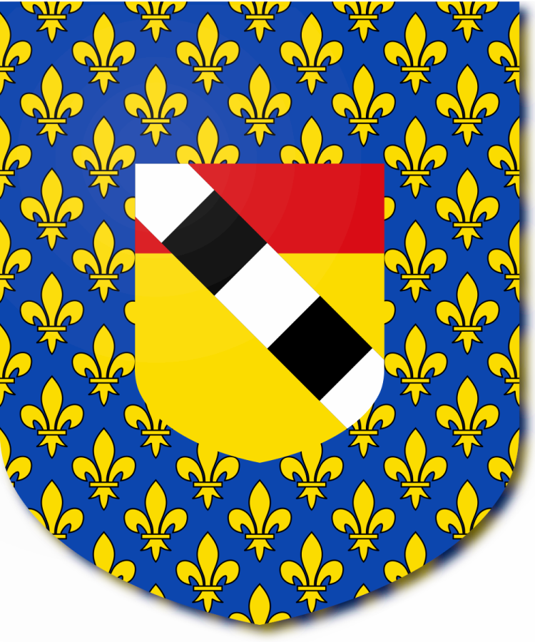 Shield image