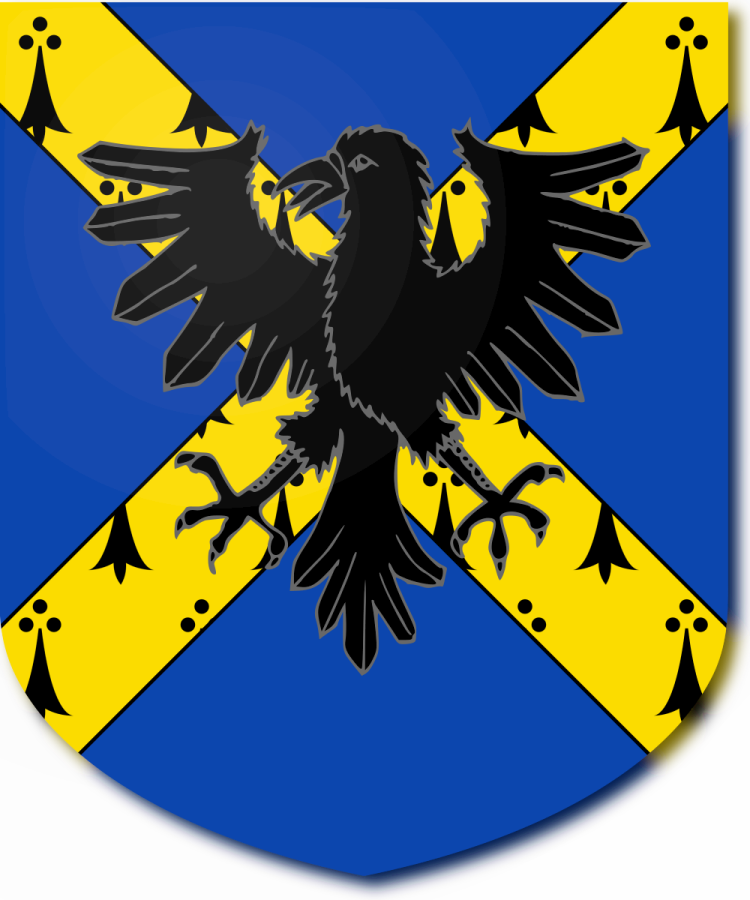 Shield image