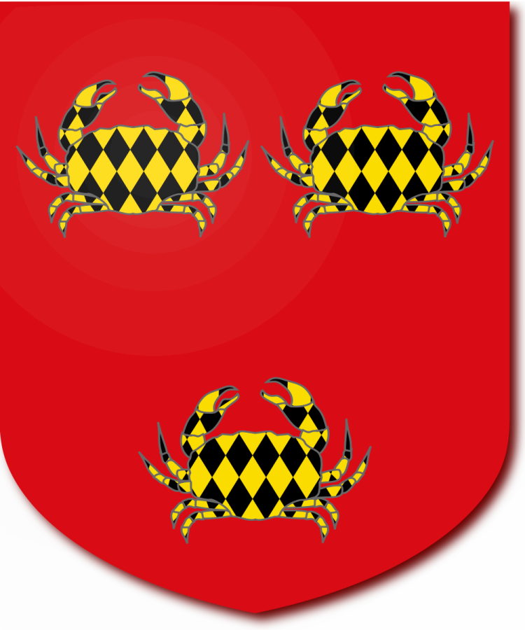 Shield image