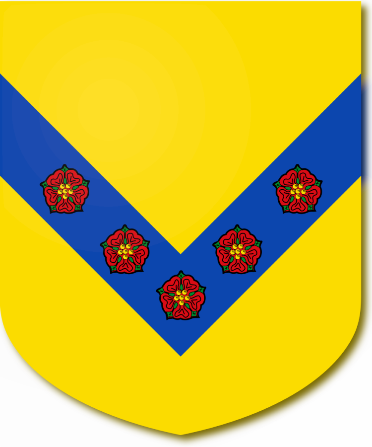 Shield image