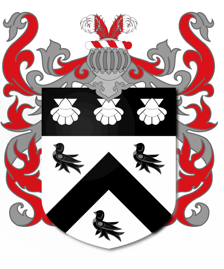 Shield image