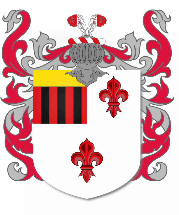 Shield image