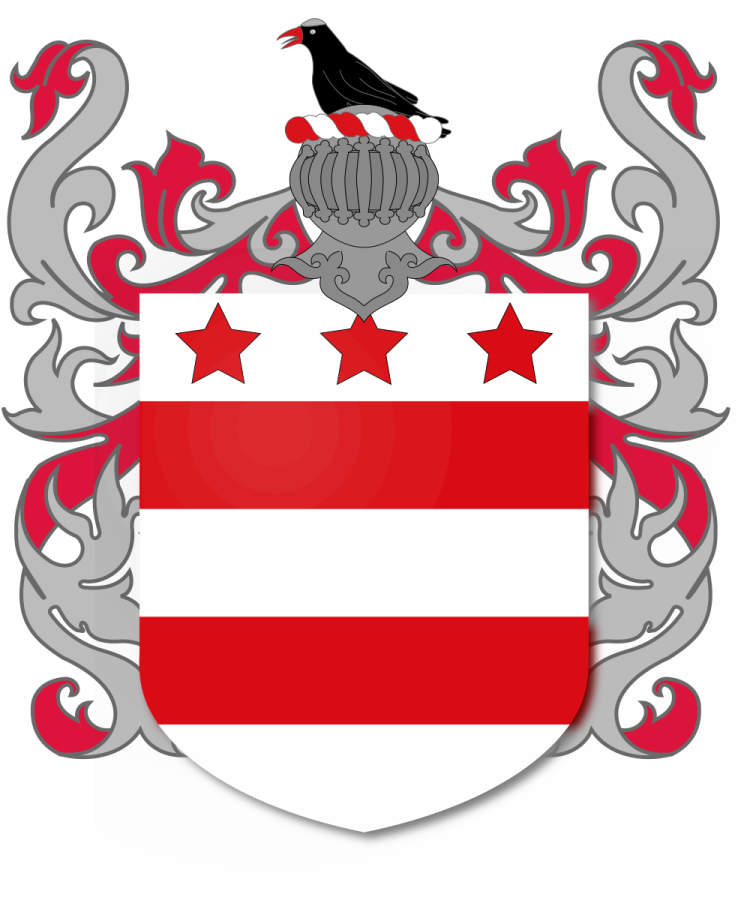 Shield image