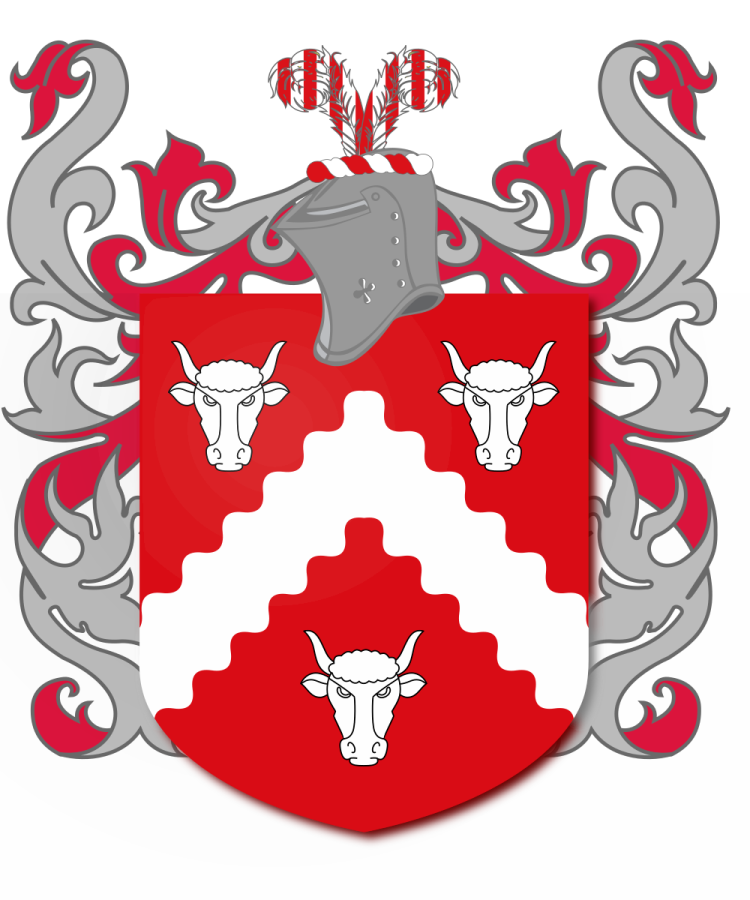 Shield image