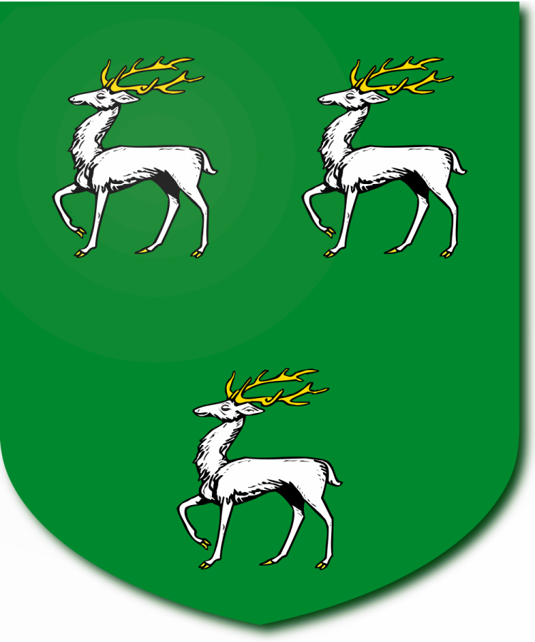 Shield image