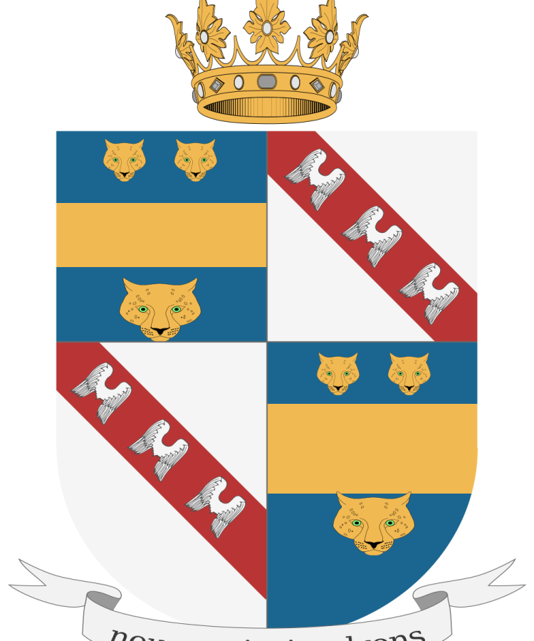 Shield image