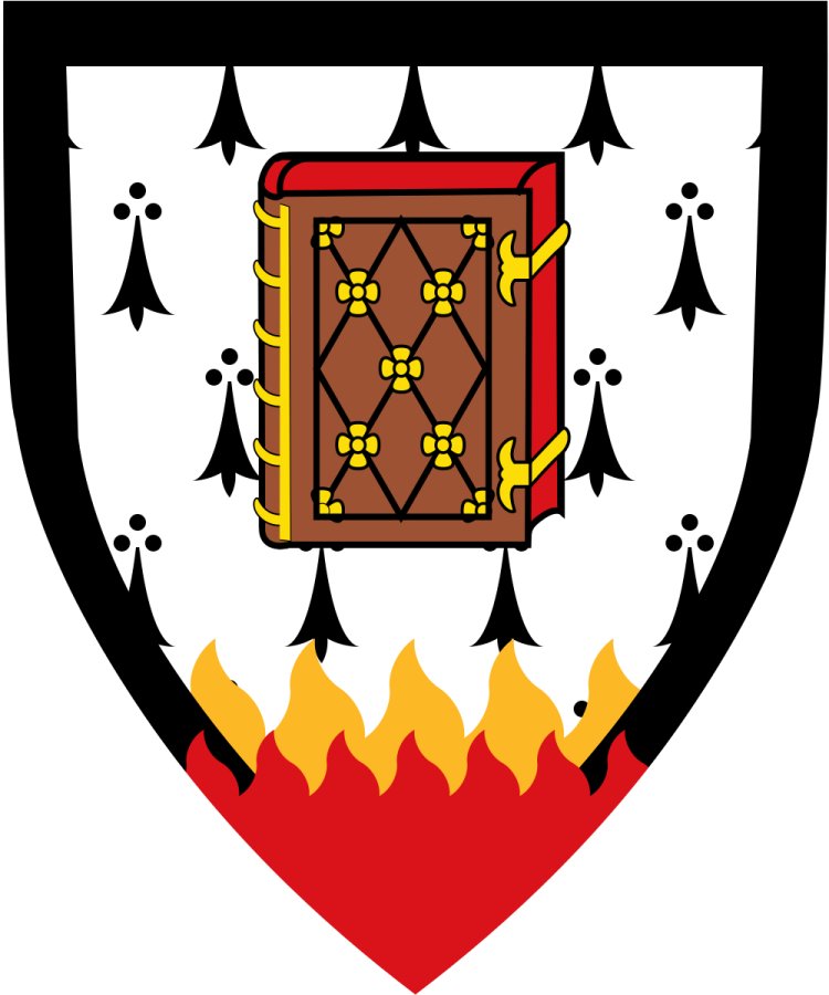 Shield image