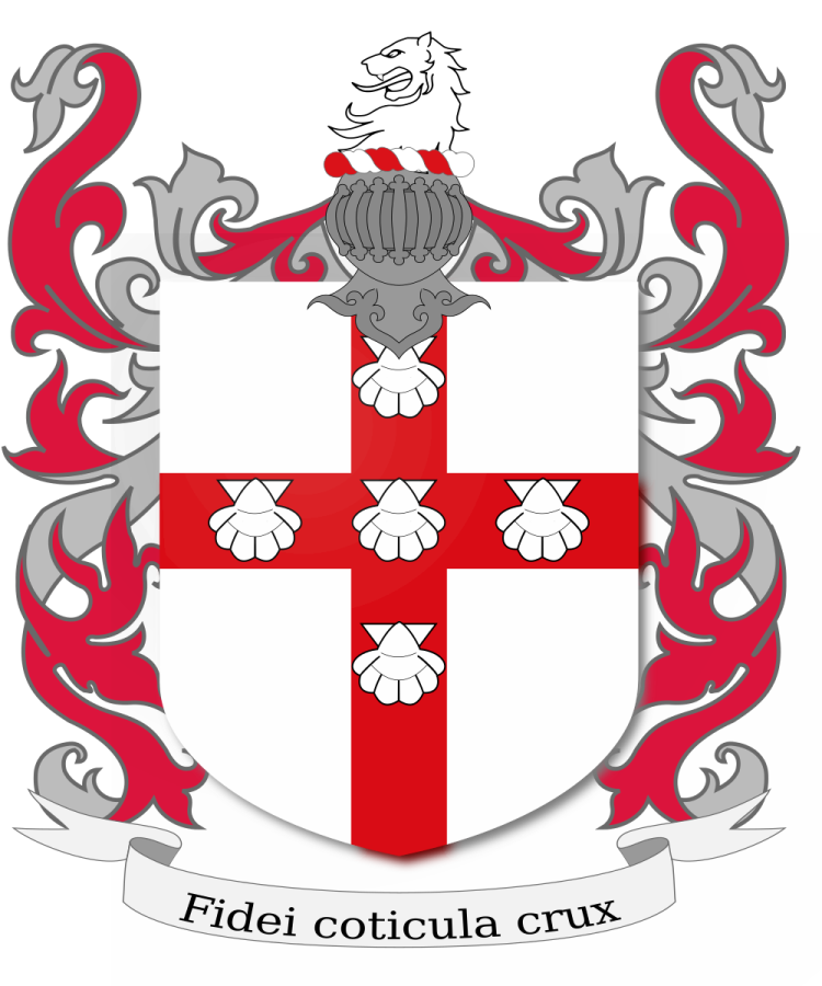 Shield image