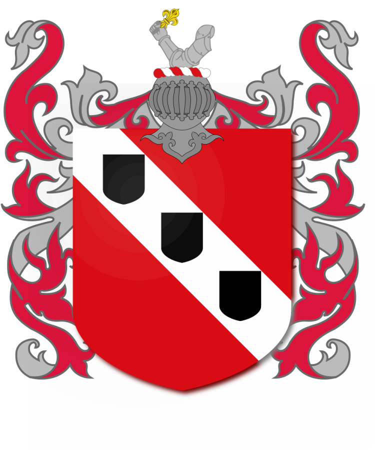 Shield image