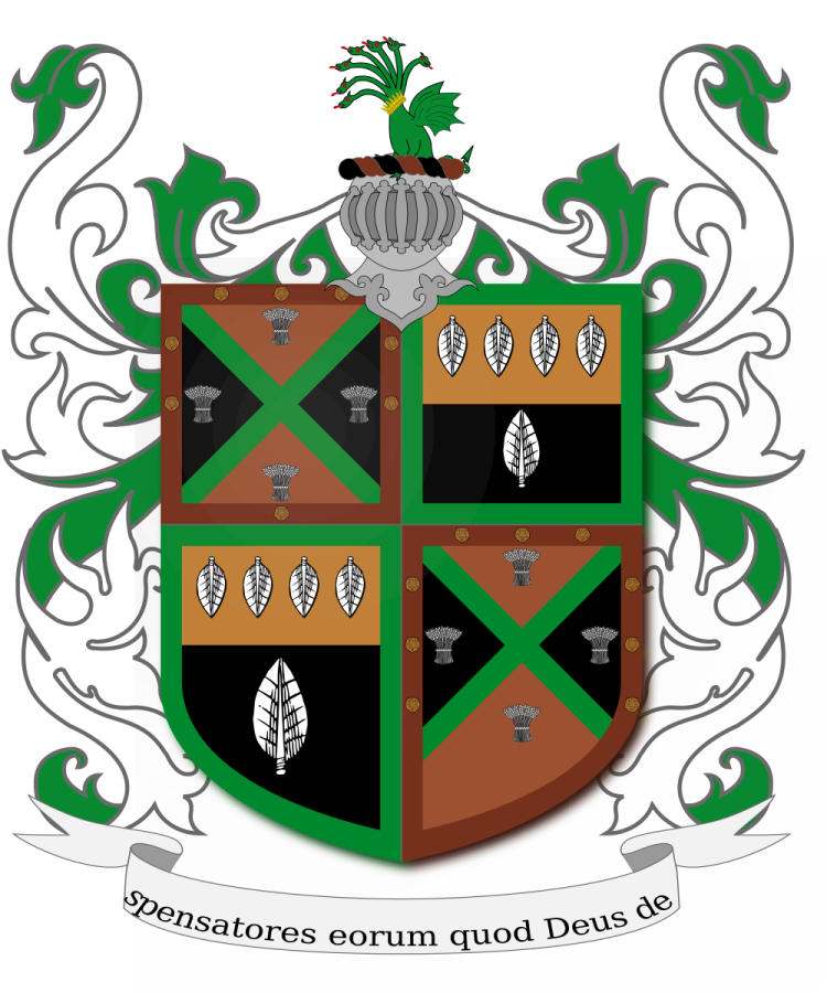 Shield image