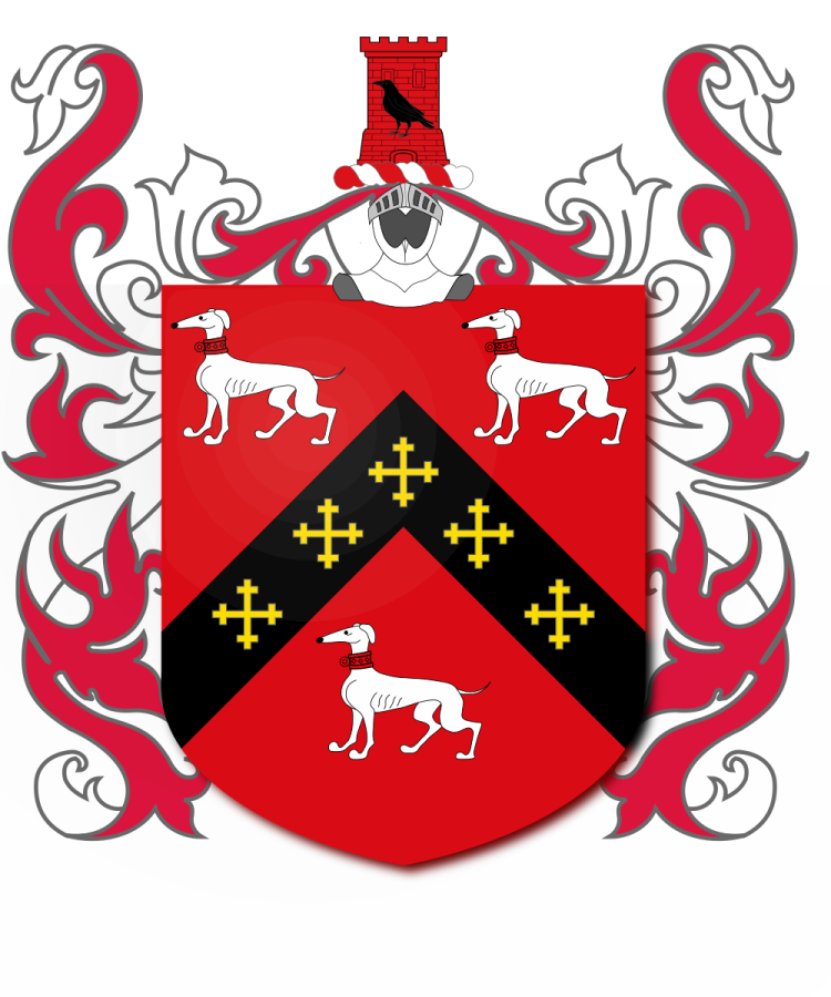 Shield image