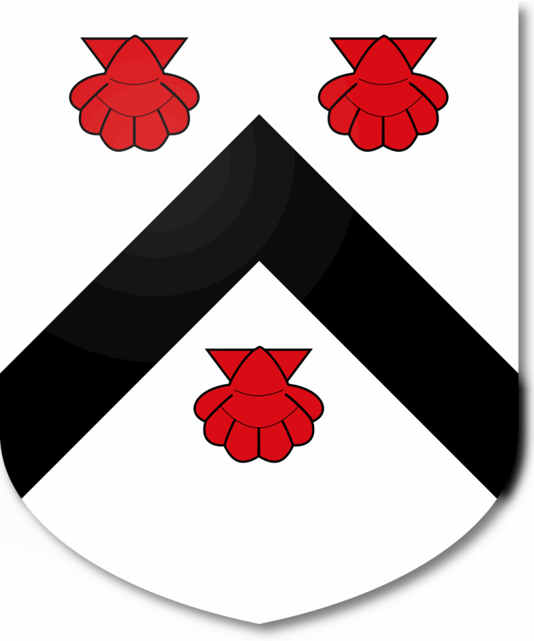 Shield image