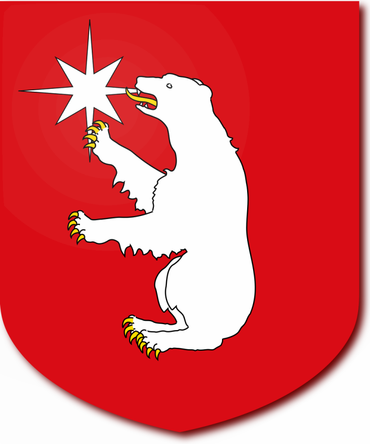 Shield image