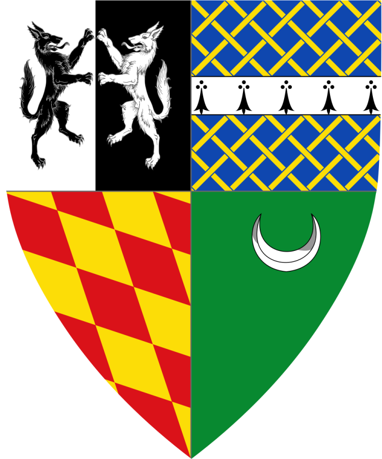 Shield image