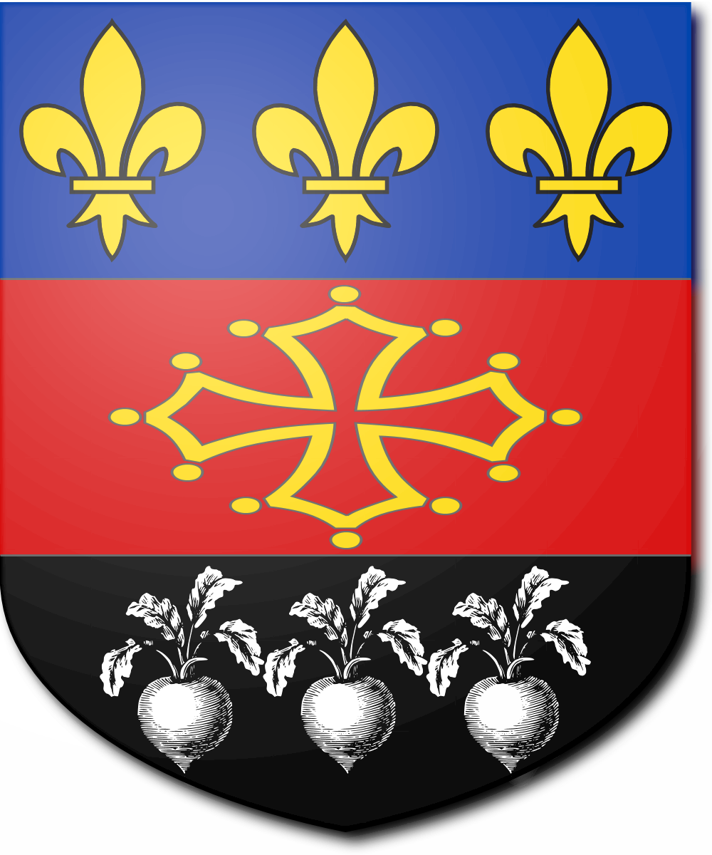 Shield image