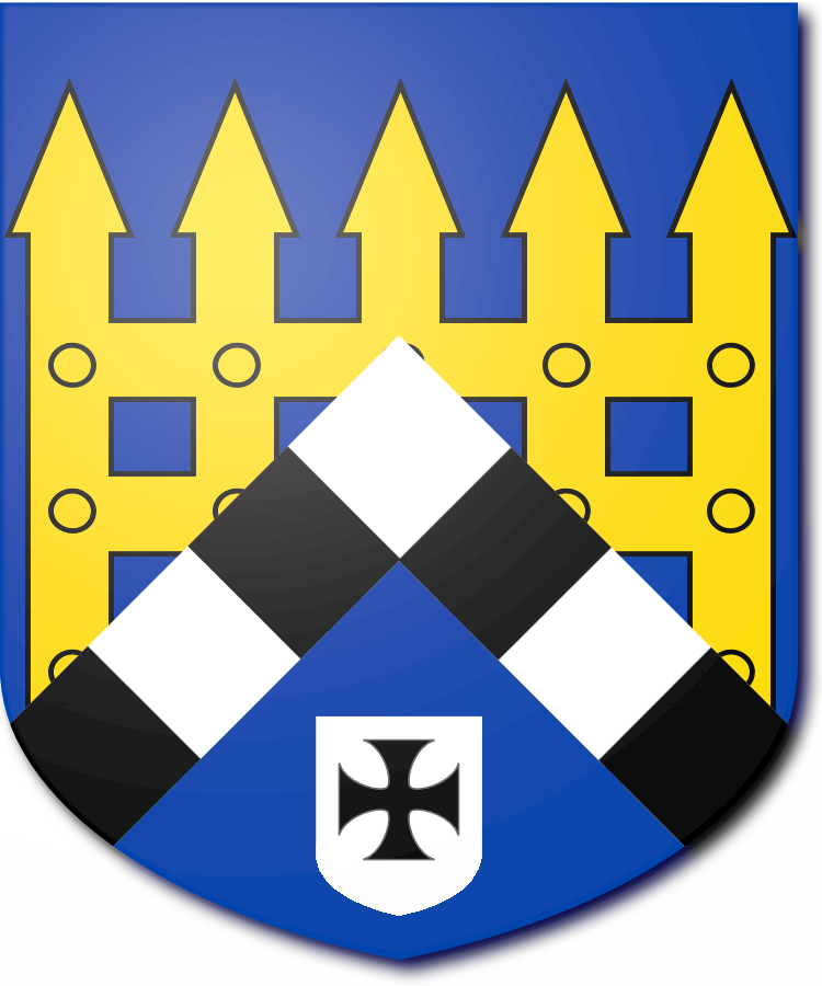 Shield image