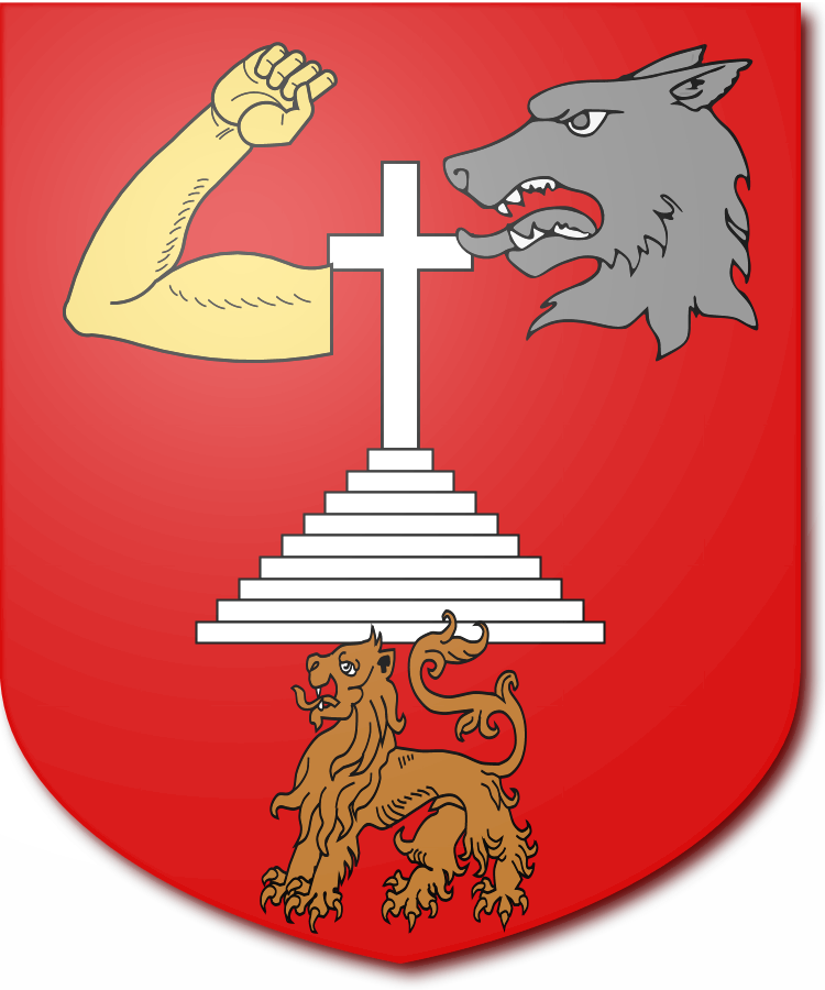 Shield image