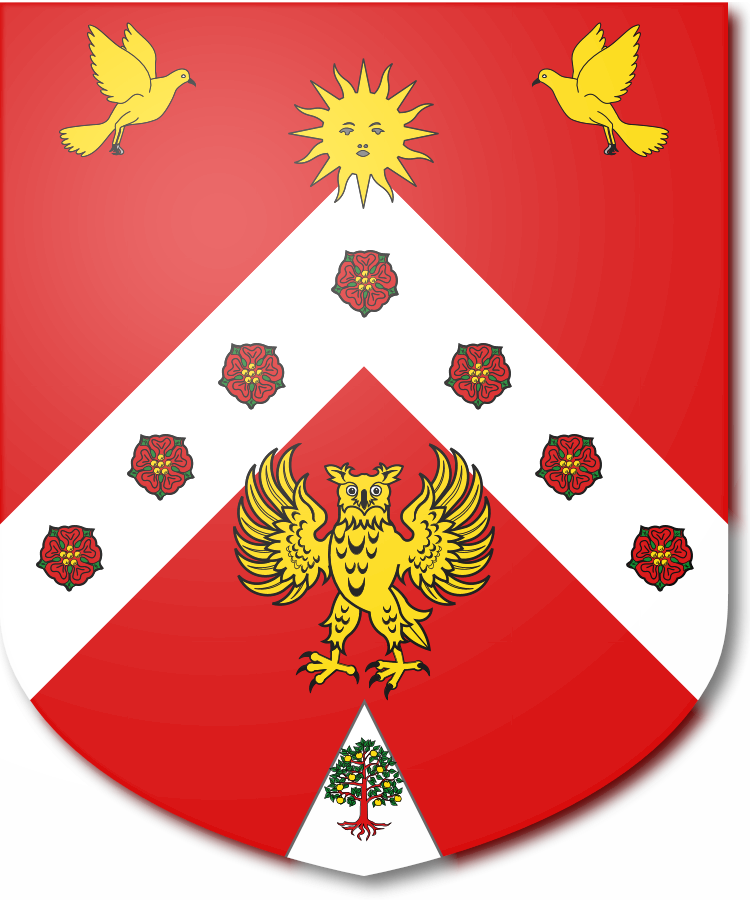 Shield image