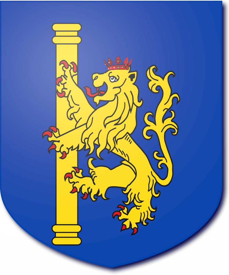 Shield image