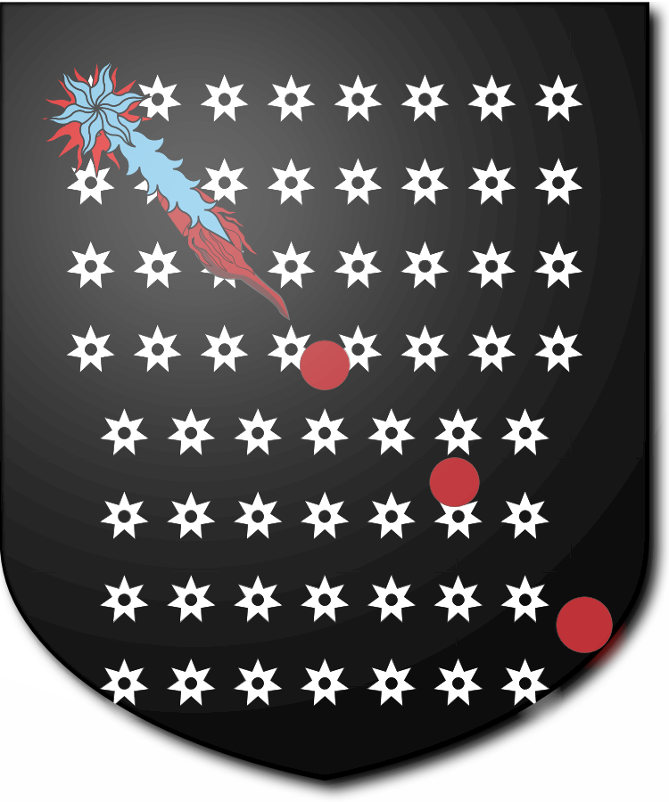 Shield image