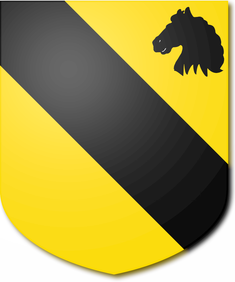 Shield image