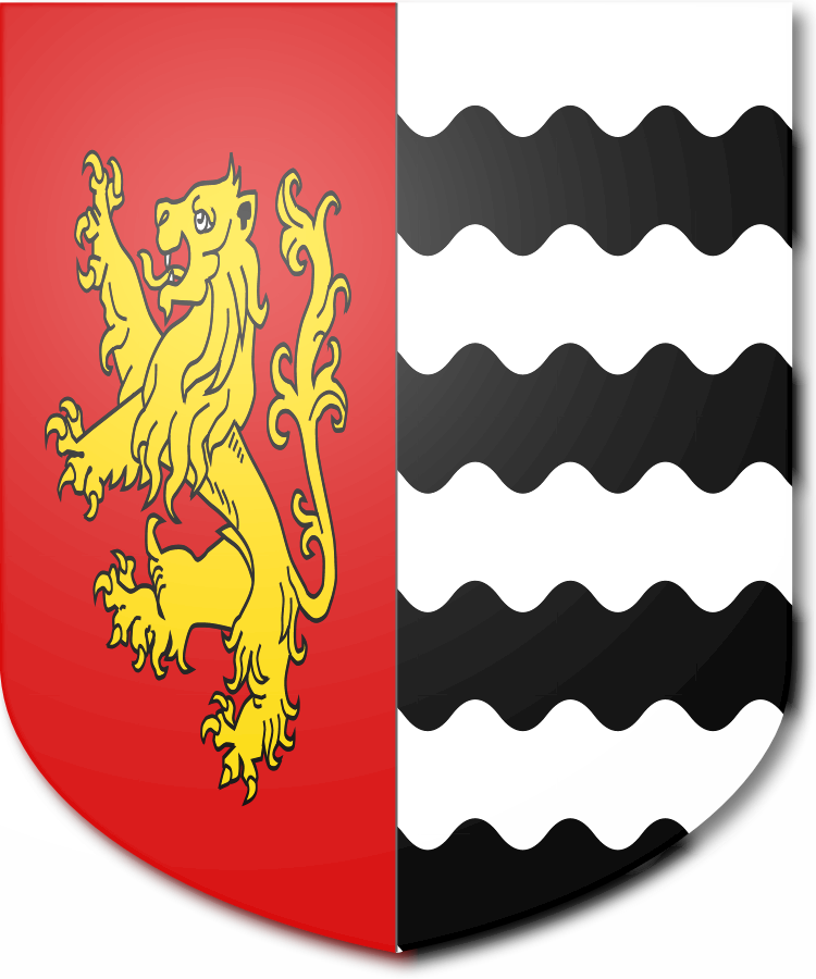 Shield image