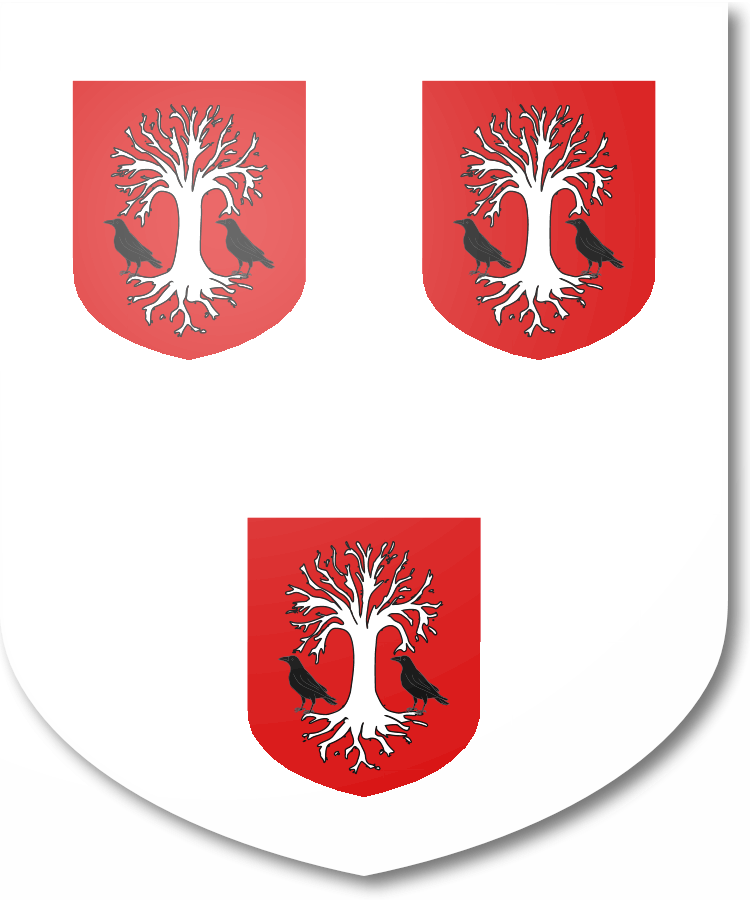 Shield image