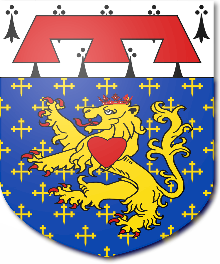 Shield image