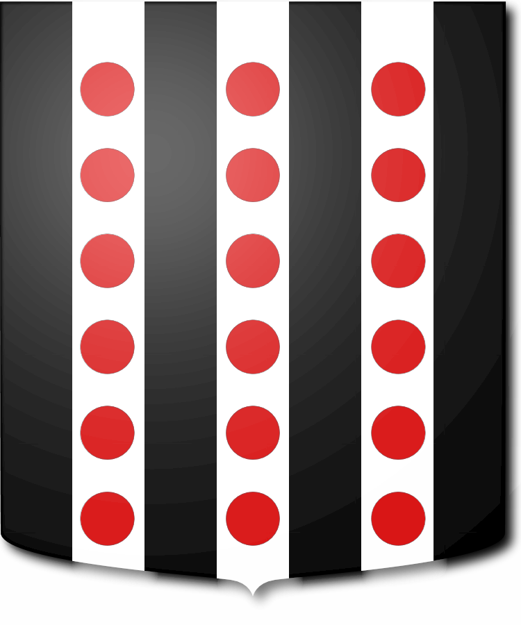 Shield image