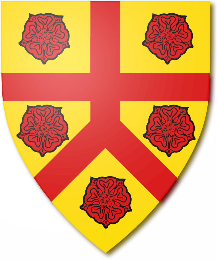 Shield image