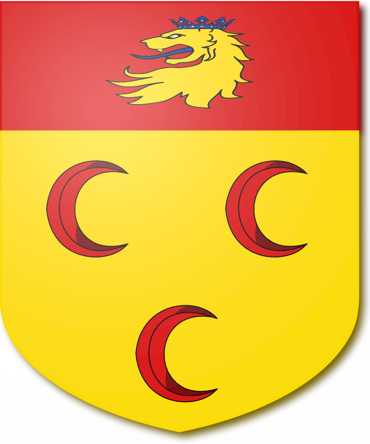 Shield image