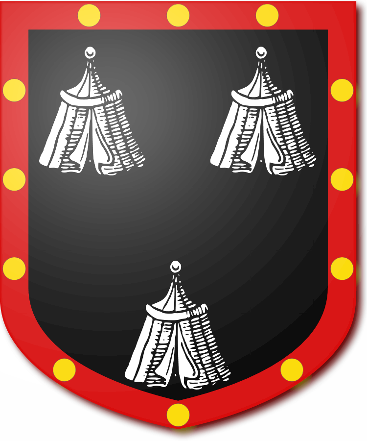 Shield image