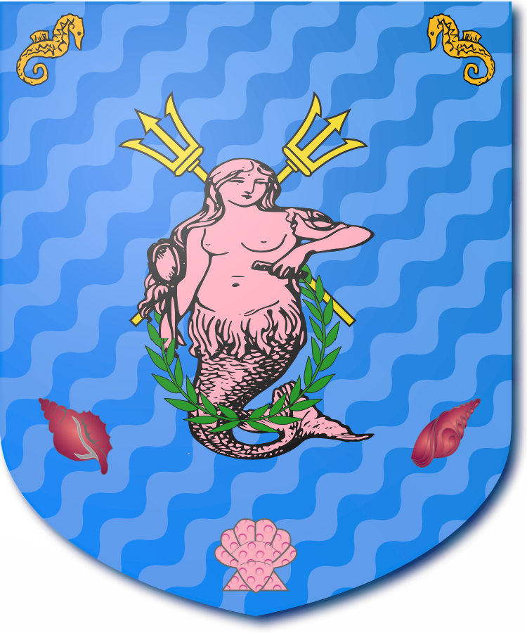 Shield image